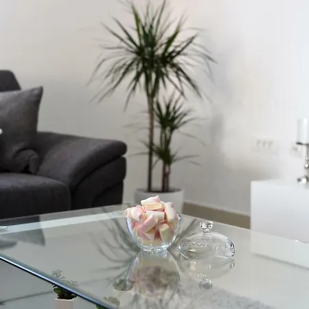 Monika - Private Terrace & Parking 公寓 扎达尔