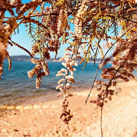 Monika - Private Terrace & Parking Lägenhet